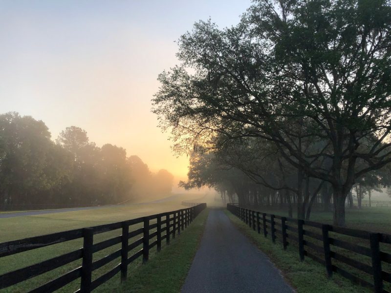 lc_blog_april2020-farmwalklh-web-800x600-5695796