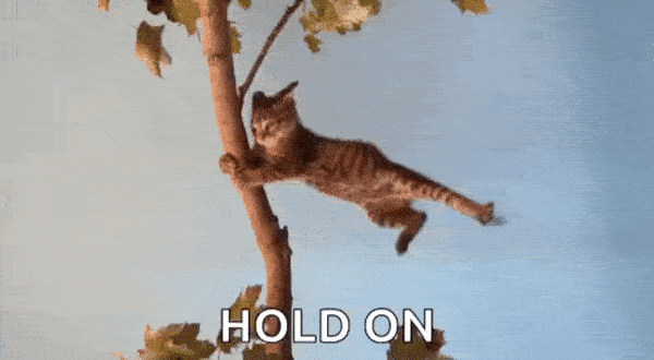 Hold On